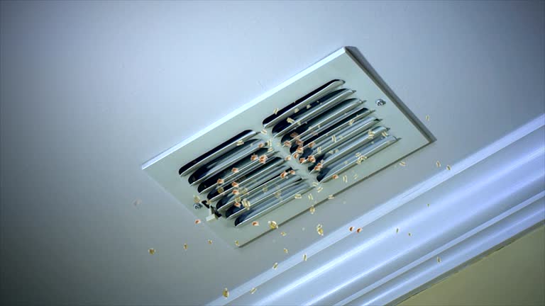 Best Affordable HVAC Duct Cleaning  in Haughton, LA