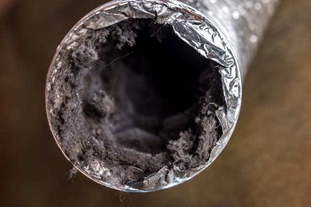 Best General Air Duct Cleaning  in Haughton, LA