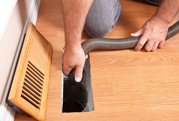 Best Air Duct Mold Removal  in Haughton, LA