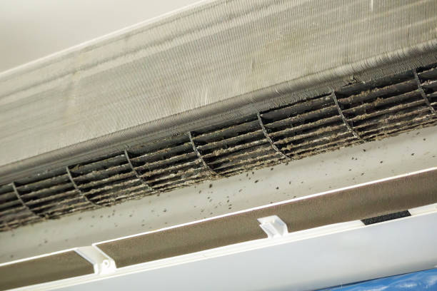 Best Professional Duct Cleaning Services  in Haughton, LA